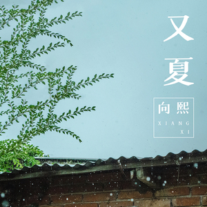 小林杏 无码 蜜桃视频
