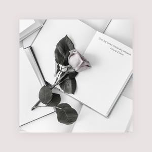 小林杏 无码 蜜桃视频
